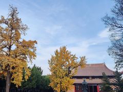 -苏州文庙(姑苏区)