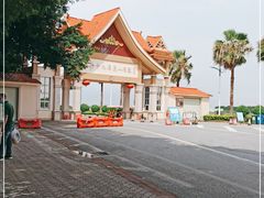 -大湾区中央湿地公园-十九涌