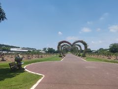 -迪茵湖田家舍生态农场