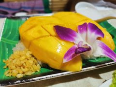 -Jungle Kitchen