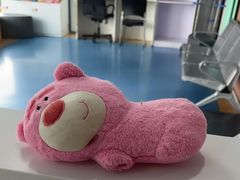 -天使宠物医院·犬猫分诊(彩虹店)