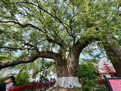 -新安江山水画廊风景区