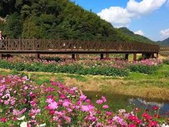 -广州市石门国家森林公园