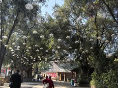 -观澜山水田园