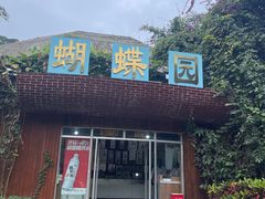 -野象谷景区
