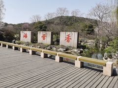 -香雪海