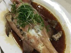 东星斑-老字号蛇口德记烧腊饭店·海鲜加工