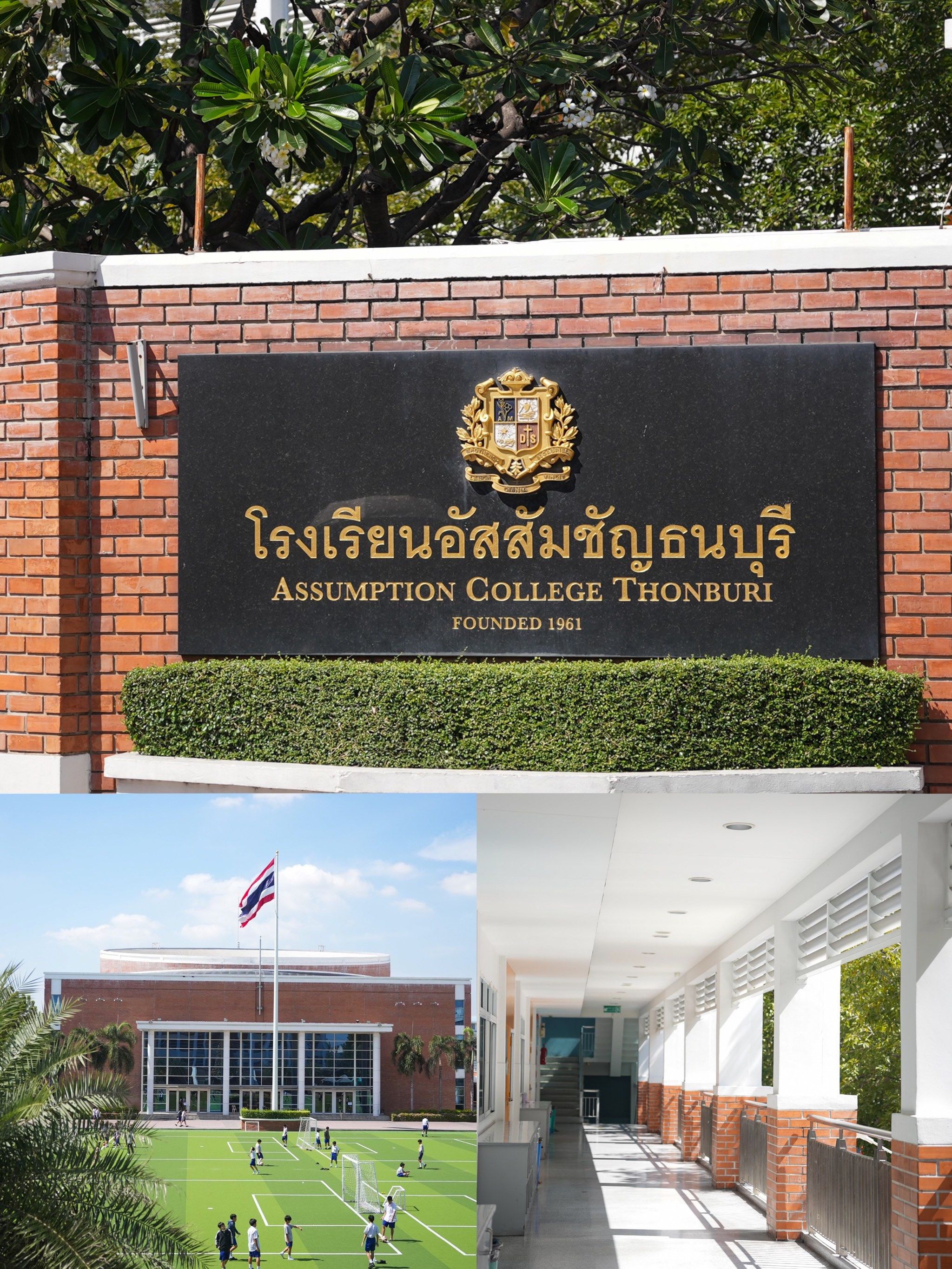 参加了泰国国际学校夏令营,又盼冬令营!