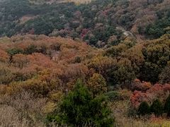 -北京西山国家森林公园