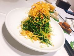 巧拌豆苗-四季民福烤鸭店(王府井灯市口店)