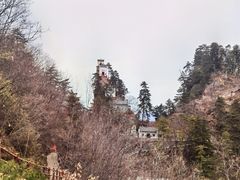 -塔云山