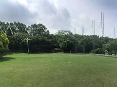-厦门悦华酒店