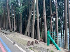 -太阳湾风景区