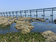 -黑石礁公园