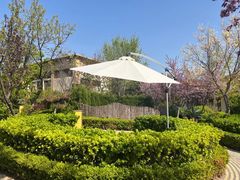 -大连金石滩绿发温泉假日酒店