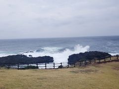 -涉地可支