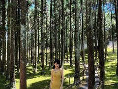 -玉苍山国家森林公园