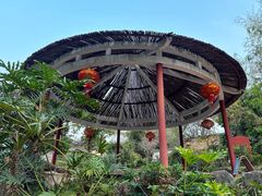 -江门古兜温泉小镇