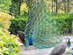 -J Create城市露营咖啡·简餐·宠物(上海动物园店)