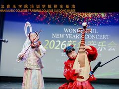 -武汉音乐学院徐东基地