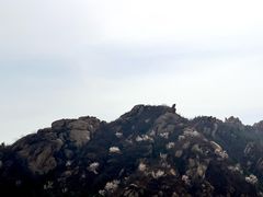 -北京凤凰岭