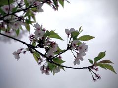 -南浦大桥长途旅游客运站