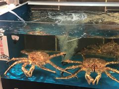 -宝园酒家(美林M·LIVE天地东座店)