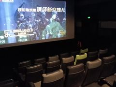 -新影联·华谊兄弟影院(望京店)