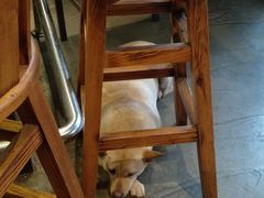 -Cactus墨西哥仙人掌餐厅