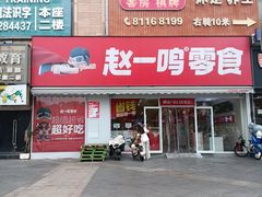 -赵一鸣零食(广东佛山狮山镇万民广场店)