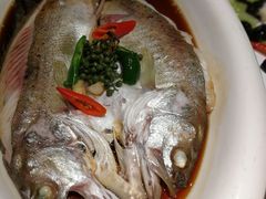 明火鲈鱼-绿茶餐厅(西单老佛爷店)