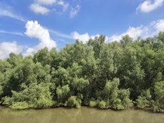 -大亚湾红树林城市湿地公园