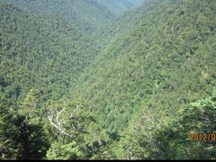 -凤凰山国家森林公园