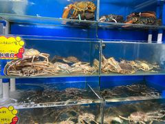 -蚝专家(北滘店)