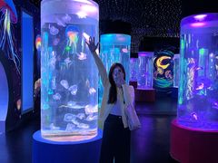 -顺德南宏海立方海洋公园