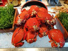 -杭州滨江世融艾美酒店·新食谱全日餐厅