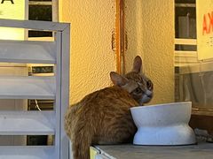 -LOOKA COFFEE(大鹏所城店)