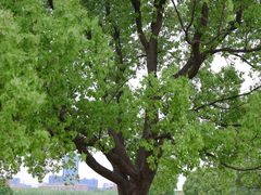 -上海交通大学闵行校区-包玉刚图书馆