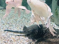 -正佳极地海洋世界