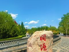 -大槐树寻根祭祖园