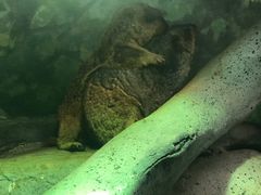 -福州罗源湾海洋世界旅游区