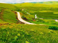 -塞罕坝国家级自然保护区