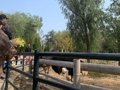 -大连森林动物园