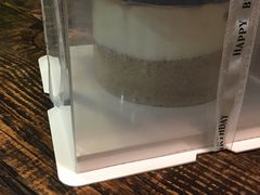 -亦家cake·0卡糖