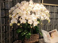 -醉庐·新上海菜(南京西路店)