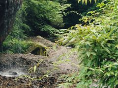 -西岭雪山大飞水景区