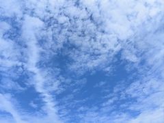 -盘龙城遗址博物院