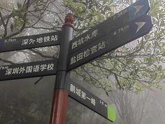 -梧桐山风景名胜区