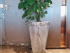 -汤臣·空中餐厅·严选粤菜(石湾世博广场店)