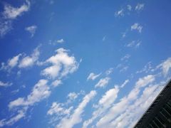 -首钢篮球中心-游泳馆